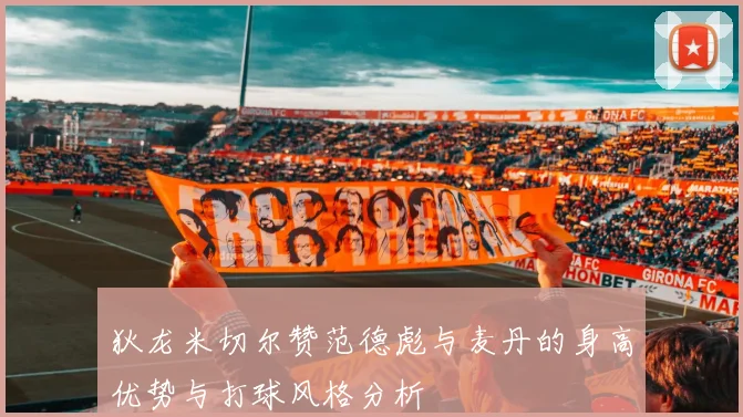 狄龙米切尔赞范德彪与麦丹的身高优势与打球风格分析