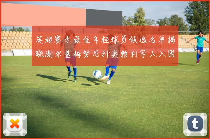 英超赛季最佳年轻球员候选名单揭晓谢尔基梅努尼科奥赖利等人入围