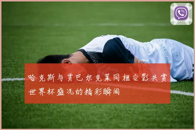 哈克斯与贾巴尔克莱同框合影共赏世界杯盛况的精彩瞬间